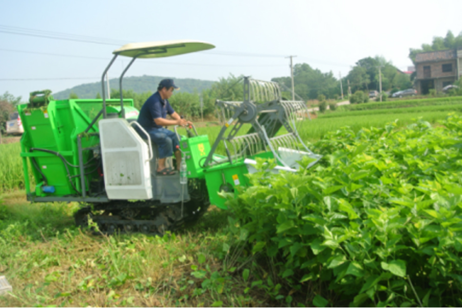 湖南省云顶集团盛泰农业科技有限公司
