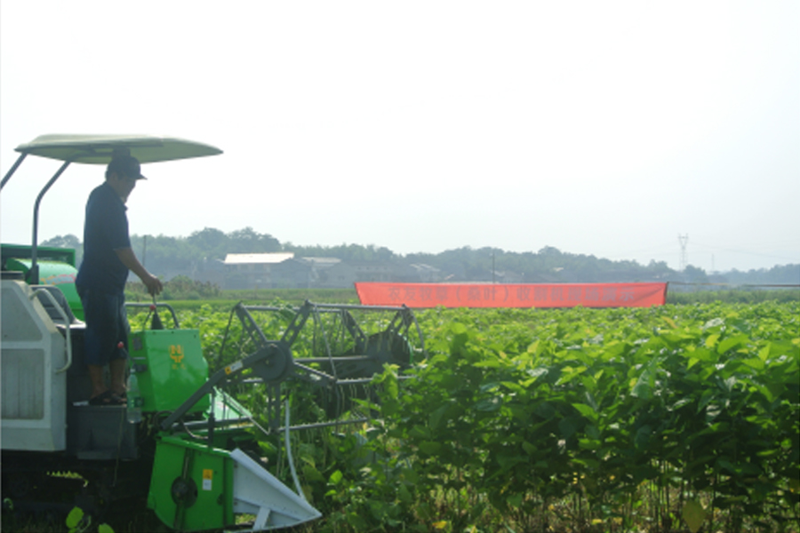 湖南省云顶集团盛泰农业科技有限公司